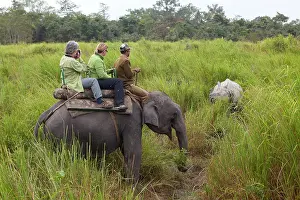 Unicornis: Asian Elephant - Tourists on Safari watching Asian