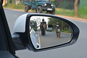 Mirrors: Asian Elephant traffic hazzard; Sri Lanka