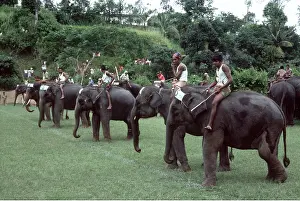 Race: ASIAN / INDIAN ELEPHANT - Race meet