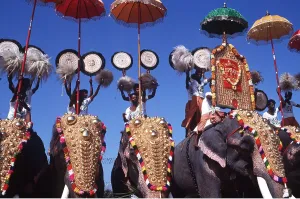 Celebrations: Asian / Indian Elephants - Kerala Elephant March