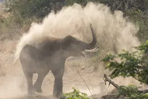 Bain: Asie, Inde, Uttarakhand, Parc national Jim Corbett