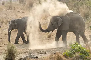 Bain: Asie, Inde, Uttarakhand, Parc national Jim Corbett