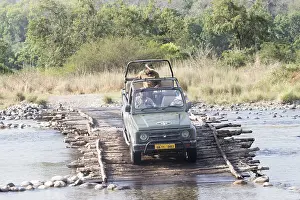 Linde: Asie, Inde, Uttarakhand, Parc national Jim Corbett