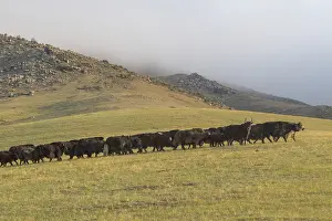 Parc Natiional: YAK