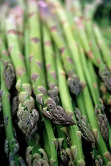Asparagus: Asparagus