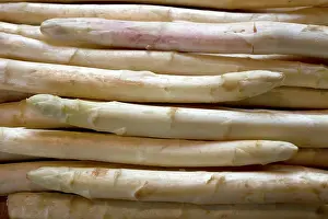 Asparagus: Asparagus harvest