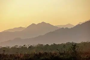 Assam: Assam landscape, Manas national park