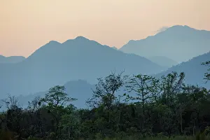 Assam: Assam landscape, Manas national park
