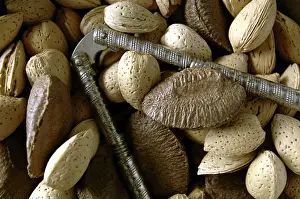 Nuts: Assorted Nuts
