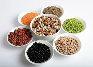 Kidney: Assortment of Beans and Lentils