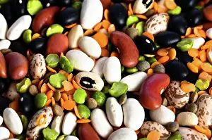 Kidney: Assortment of Beans and Lentils
