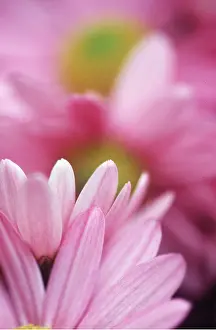 Arty: ASTER - soft focus