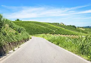 2020: ASTI, ITALY - CIRCA AUGUST 2020: Piedmont hills