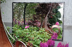 Vision: Astilbe