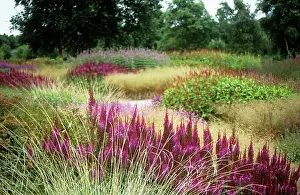 Layers: Astilbe