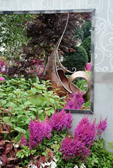 Vision: Astilbe