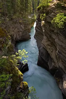 Jasper: Athabasca River in Jasper National Park