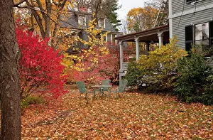 Attractive: Attractive garden in autumn (fall)