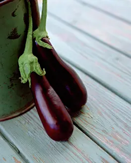 Silky: Aubergine