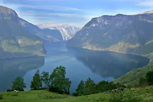 Aurlandsfjord: Aurlandsfjord framed by high mountains and green pastures