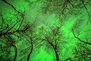 Lighting: Aurora borealis - northern lights lighting up the sky above