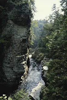 Chasm: Ausable Chasm, NY