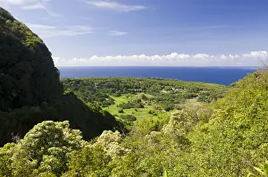 Ausblick: Ausblick an der Strasse nach Hana, Maui, Hawaii