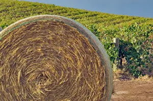 Bale: Australia, Barossa Valley. Large rolls of