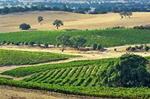 Janis: Australia, Barossa Valley. Mountadam vineyard