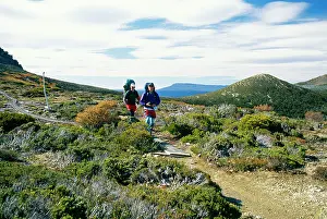 Walkers: Australia - Bush walking on the overland track