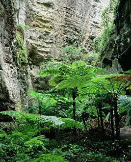 Ward: AUSTRALIA - Carnavron Gorge Section, Ward's Canyon