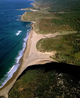 Auscape - Named Photographers: Australia - Garie Beach, north and south Era beaches