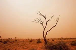 Bleak: Australia, New South Wales, Broken Hill