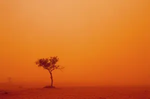 Bleak: Australia, New South Wales, Ivanhoe, Outback