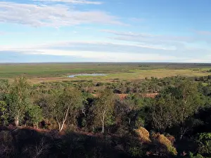 Friel: Australia, No. Territory, view of the Adelaide