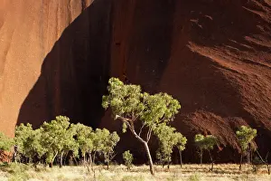 Harsh: Australia, Northern Territory, Uluru-Kata