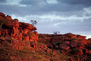Kings: Australia, Northern Territory, Watarrka