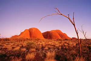 Uluru: Australia - The Olgas after sunset, Uluru National Park