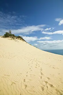 Blow: Australia, Queensland, Fraser Coast, Rainbow