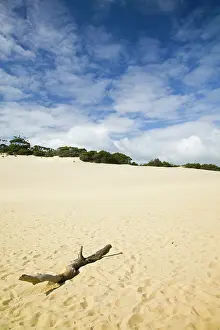 Blow: Australia, Queensland, Fraser Coast, Rainbow