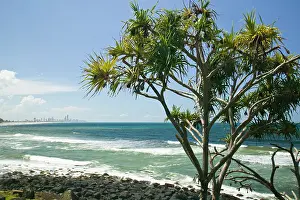 Bibikow: Australia, Queensland, Gold Coast, Burleigh