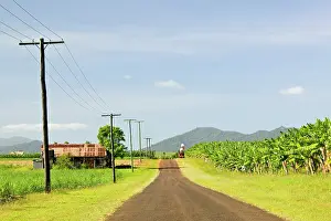 Truck: Australia, Queensland, North Coast, Babinda