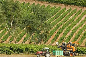 Harvester: Australia, South Australia, Adelaide Hills