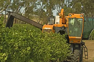 Harvester: Australia, South Australia, Adelaide Hills