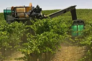 Harvester: Australia, South Australia, Adelaide Hills
