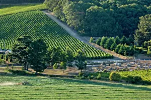 Making: Australia, South Australia, Adelaide Hills