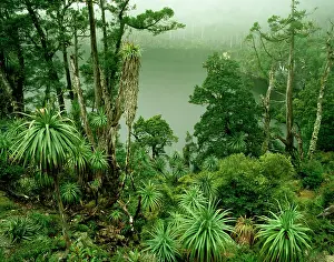 Auscape - Named Photographers: AUSTRALIA, Tasmania