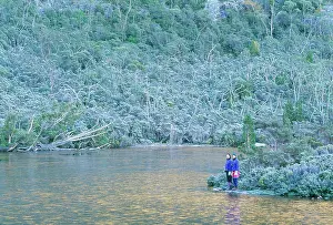 Tarn: AUSTRALIA, Tasmania, Cradle Mountain - very heavy