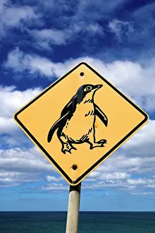Jackrel: Australia, Tasmania, Stanley. Street sign