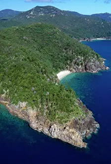 Whitsunday: AUSTRALIA - 'The Wood PileI, Hook Island, Whitsunday Group
